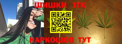 a pvp Новодвинск