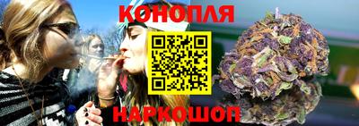a pvp Новодвинск