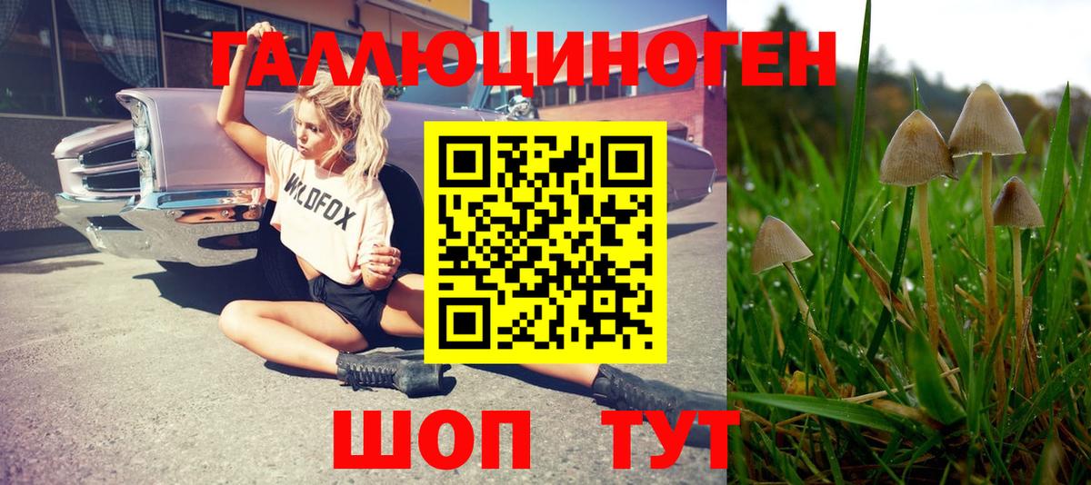Псилоцибиновые грибы ЛСД  Галлюциногенные грибы мухоморы  Вход с VPN  Тосно 