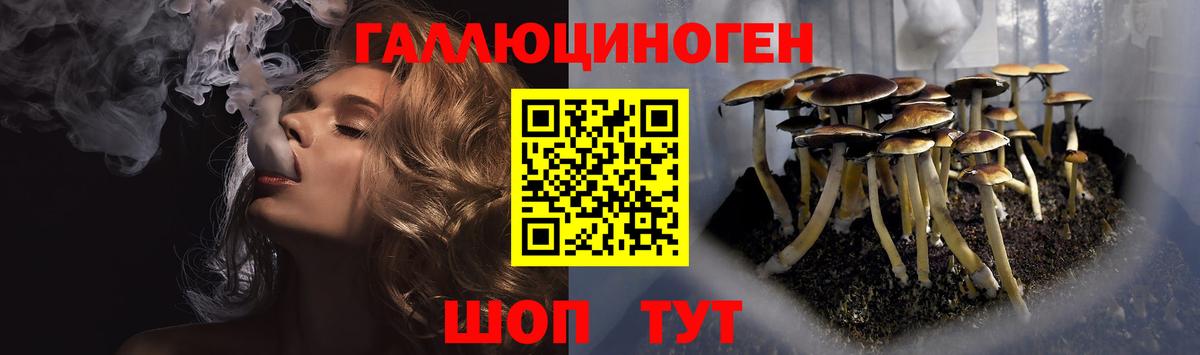 Галлюциногенные грибы Magic Shrooms Тосно